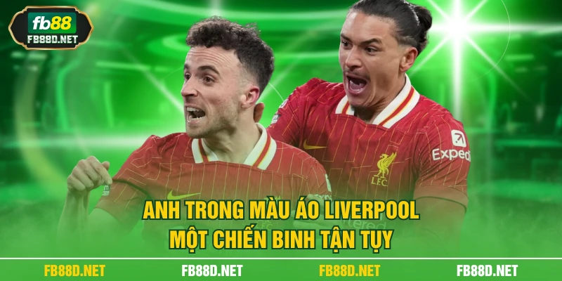 Anh trong màu áo Liverpool – một chiến binh tận tụy