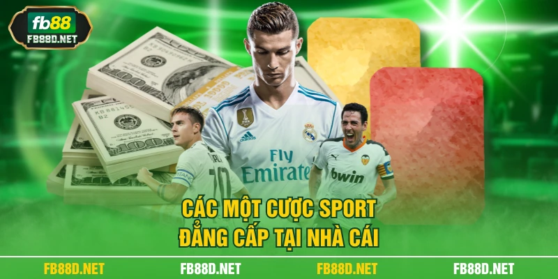 Các một cược sport đẳng cấp tại nhà cái