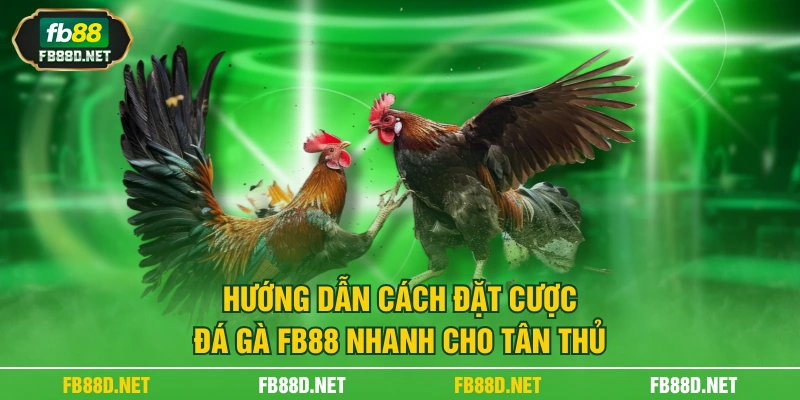 Hướng dẫn cách đặt cược đá gà FB88 nhanh cho tân thủ