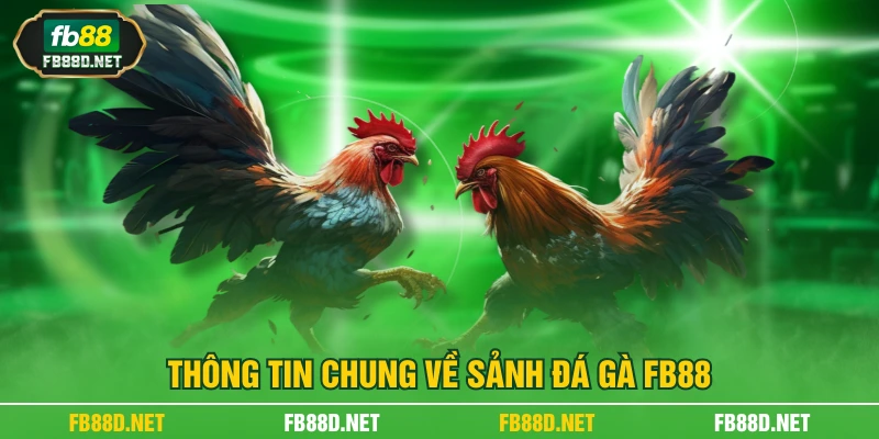 Thông tin chung về sảnh đá gà FB88